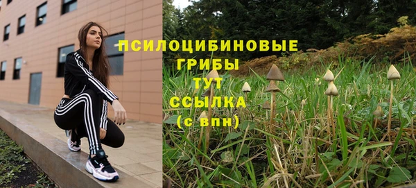 меф Осинники