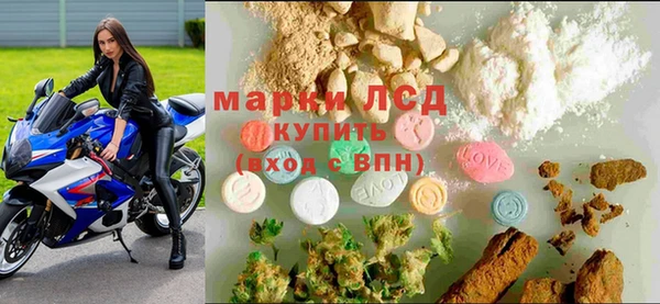 прущие грибы Алексин