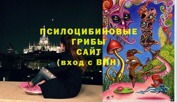 эйфоретик Абаза