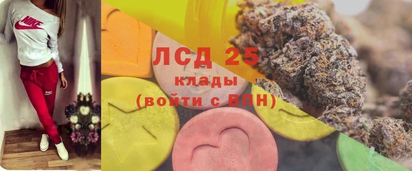 прущие грибы Алексин