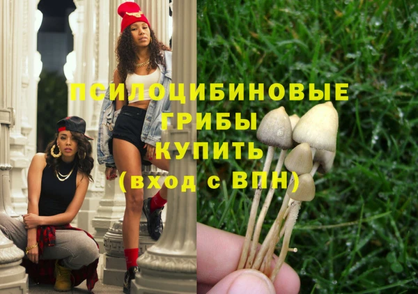прущий лед Алексеевка